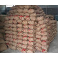 grãos de café embalando sacos de juta